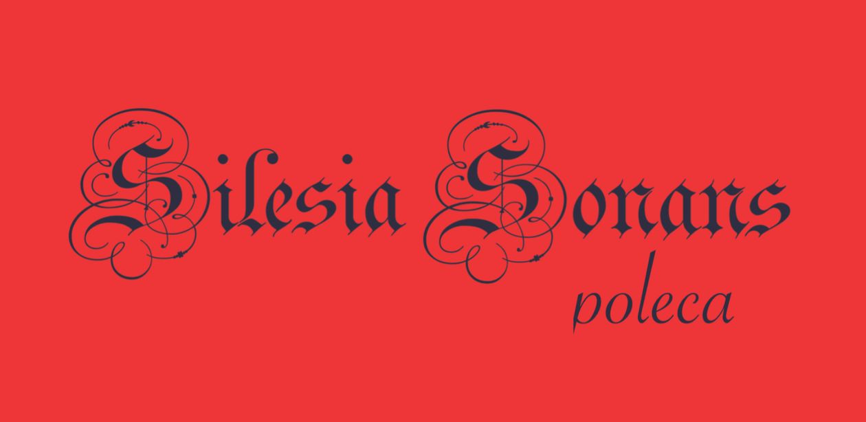 Jelenia Góra: Silesia Sonans poleca (4)