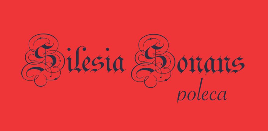 Jelenia Góra: Silesia Sonans poleca (6)