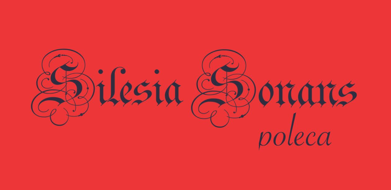 Jelenia Góra: Silesia Sonans poleca (7)