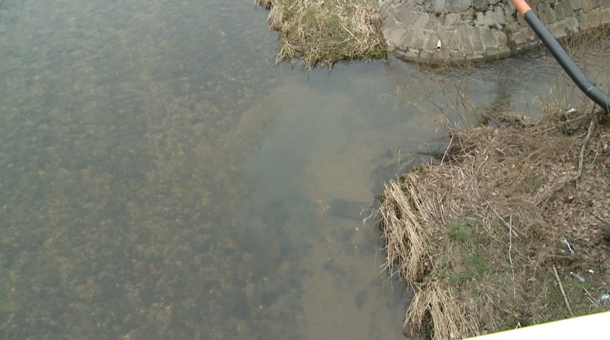 Jelenia Góra: Zanieczyszczenie potoku na terenie Jeleniej Góry