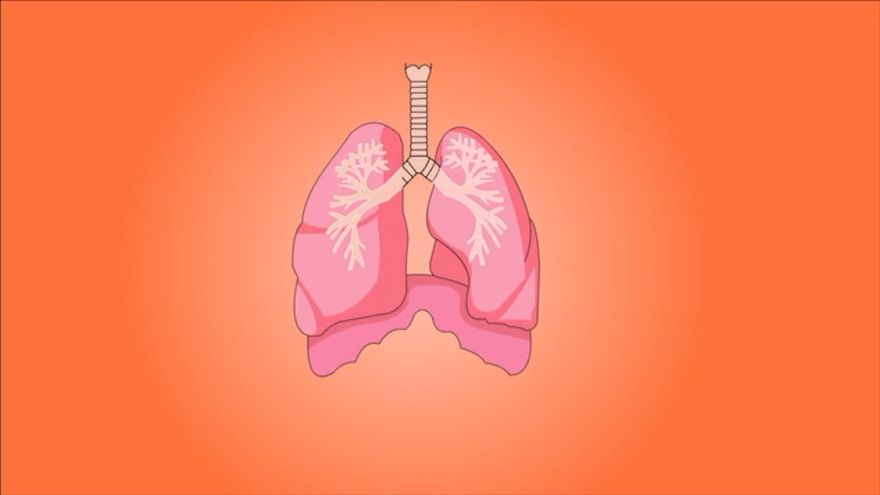 Jelenia Góra: Rusza profilaktyka raka płuc dla Dolnoślązaków