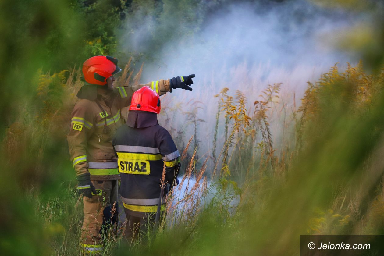 Jelenia Góra: Pożar śmieci przy Grunwaldzkiej