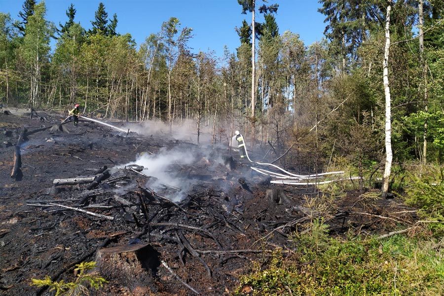 Gmina Marciszów: Palił się las
