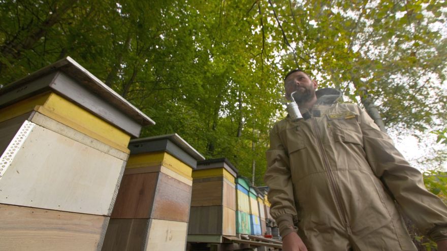 Jelenia Góra: Walka z warrozą i zimowanie pszczół