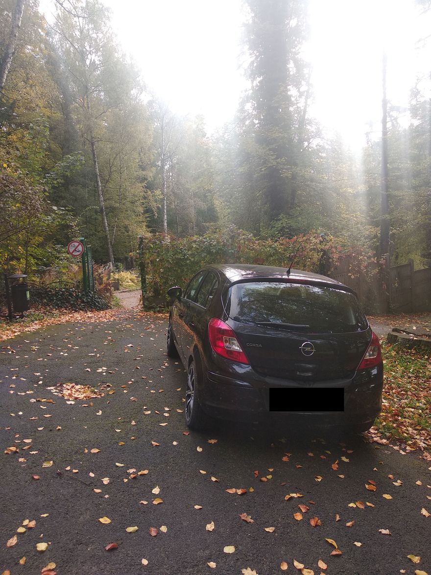Jelenia Góra: Czytelnik: Samochody rozjeżdżają miejski park