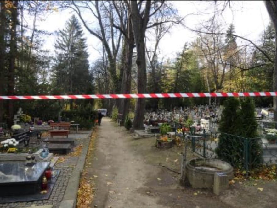 Jelenia Góra: Silny wiatr uszkodził  drzewo na cmentarzu