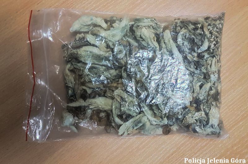 Jelenia Góra: Kolejne narkotyki nie trafią na rynek