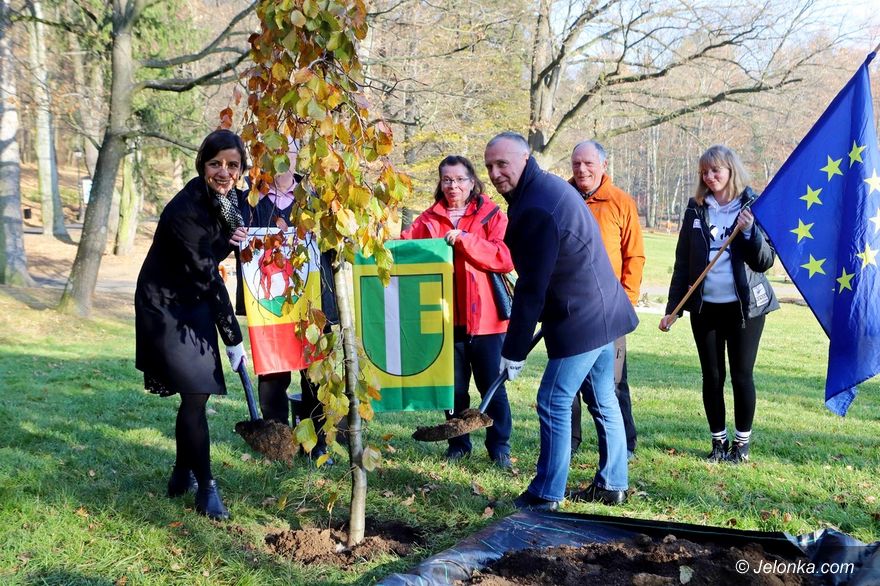 Jelenia Góra: Posadzili drzewko przyjaźni Jelenia Góra – Erftstadt