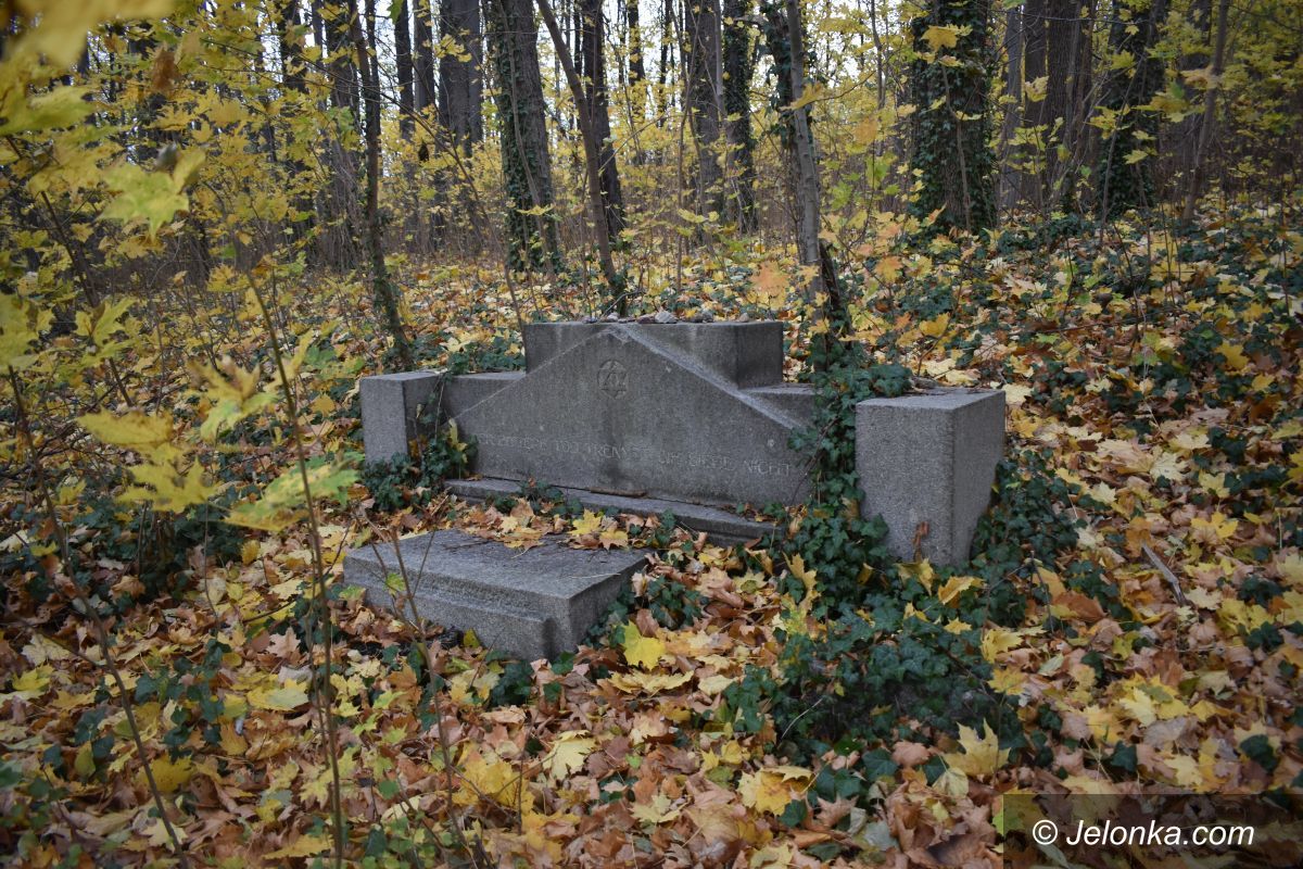 Jelenia Góra: Kto zadba o dawny cmentarz żydowski?