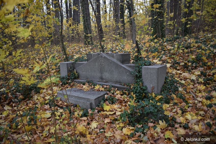 Jelenia Góra: Kto zadba o dawny cmentarz żydowski?