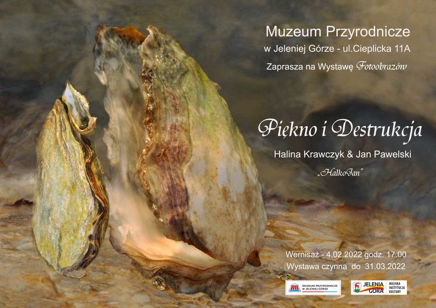 Jelenia Góra: Piękno i destrukcja w Muzeum Przyrodniczym