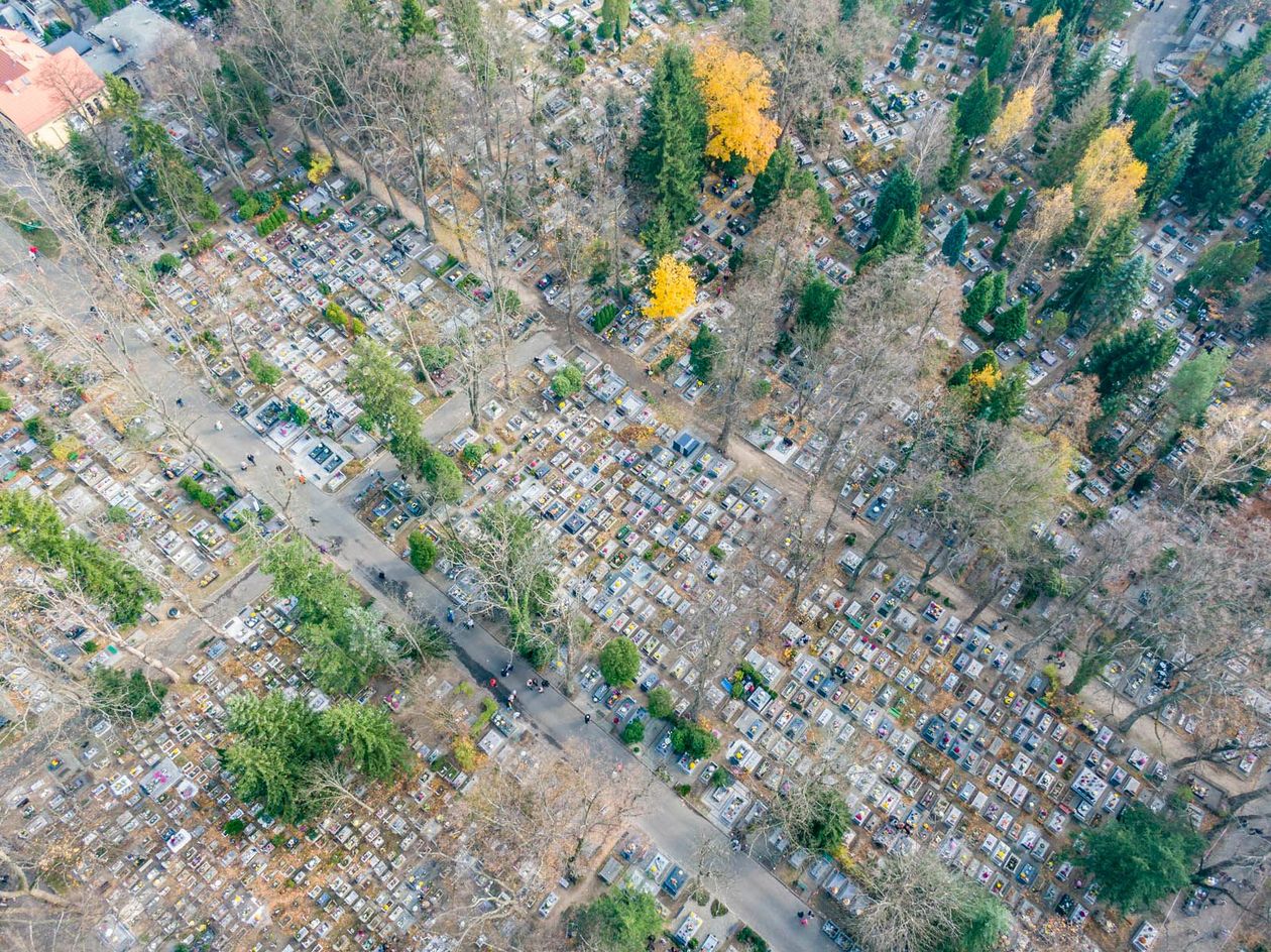 Jelenia Góra: Problemy z internetową mapą cmentarzy