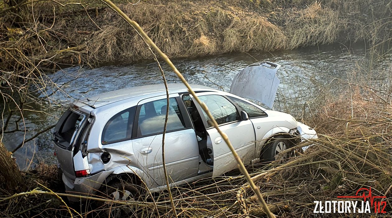 Złotoryja: Auto wypadło z drogi