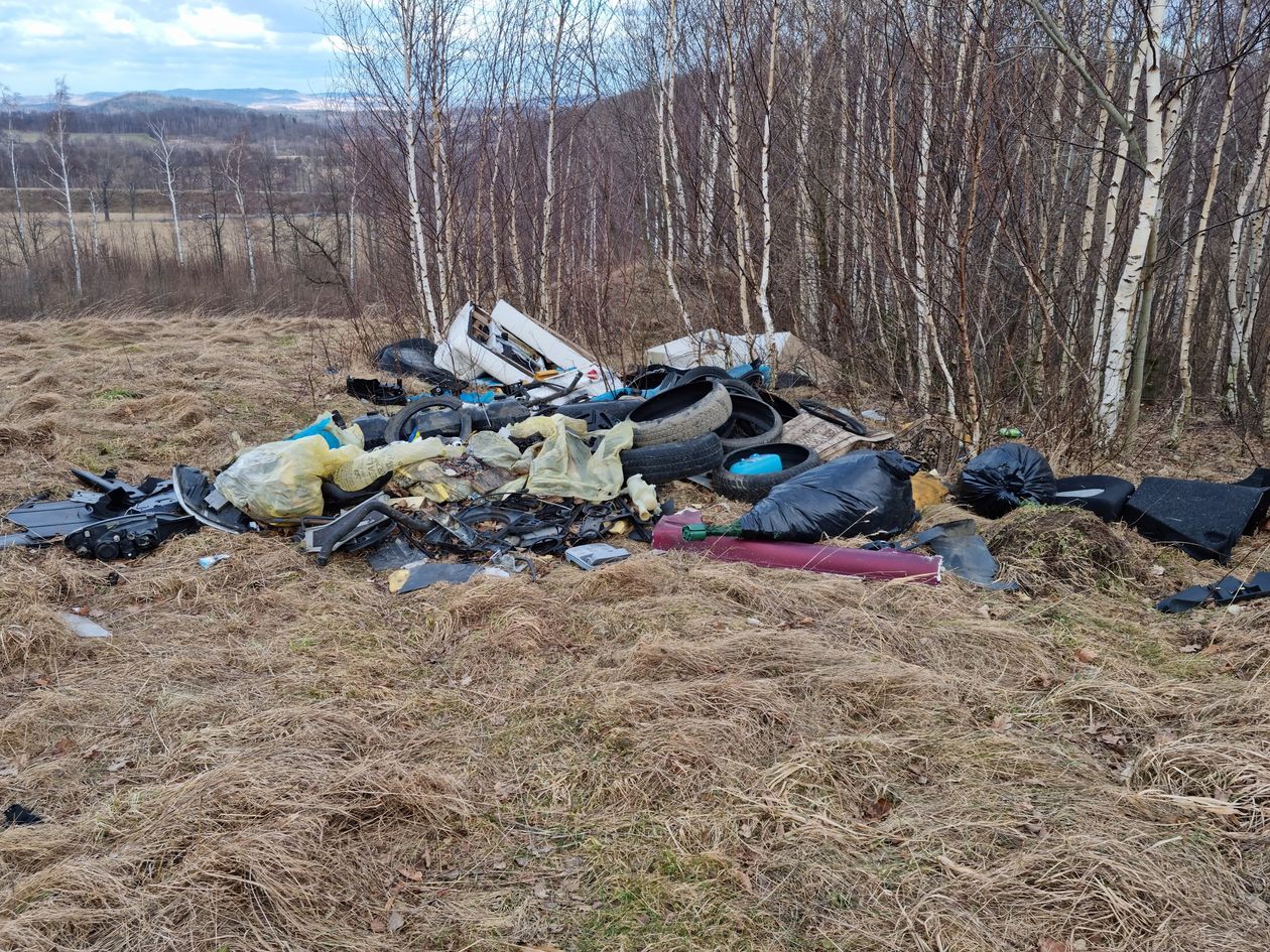 Kowary: Dzikie wysypisko odpadów tym razem w Krzaczynie