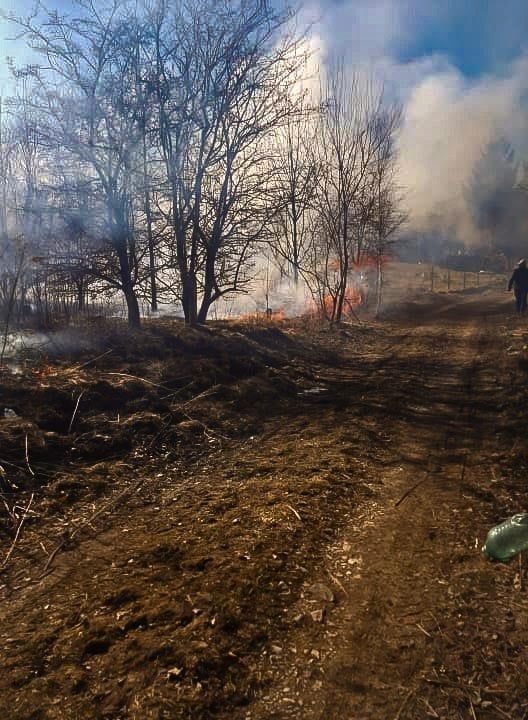 Powiat złotoryjski: Pożary suchych traw