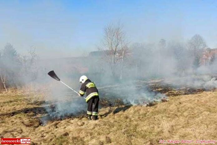 Powiat Lwówecki: Pożary nieużytków