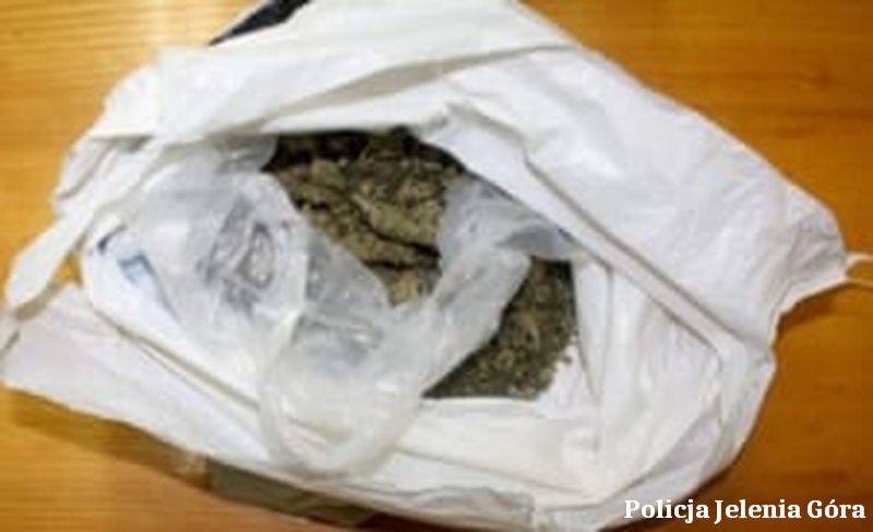 Jelenia Góra: Wpadka z dużą ilością marihuany