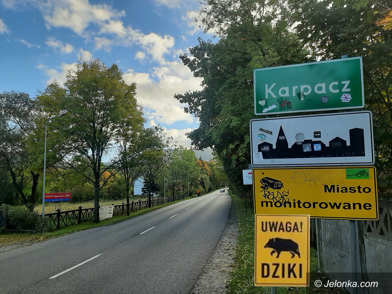 Karpacz: Burmistrz o dzikach