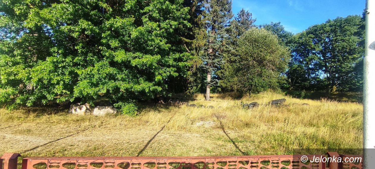 Jelenia Góra: Ponownie bez ofert na budowę dirtparku