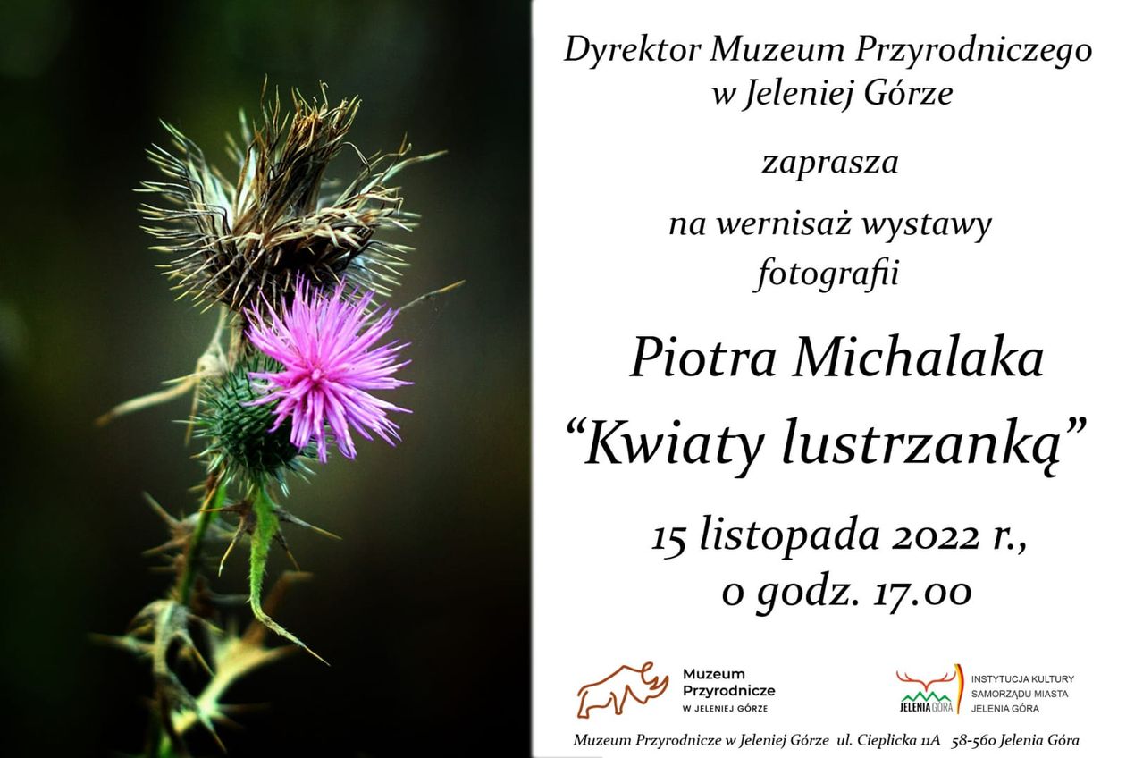 Jelenia Góra: Kwiaty Piotra Michalaka