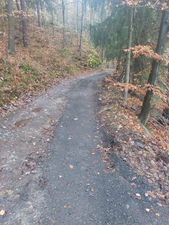 Gmina Leśna: Prace na szlaku