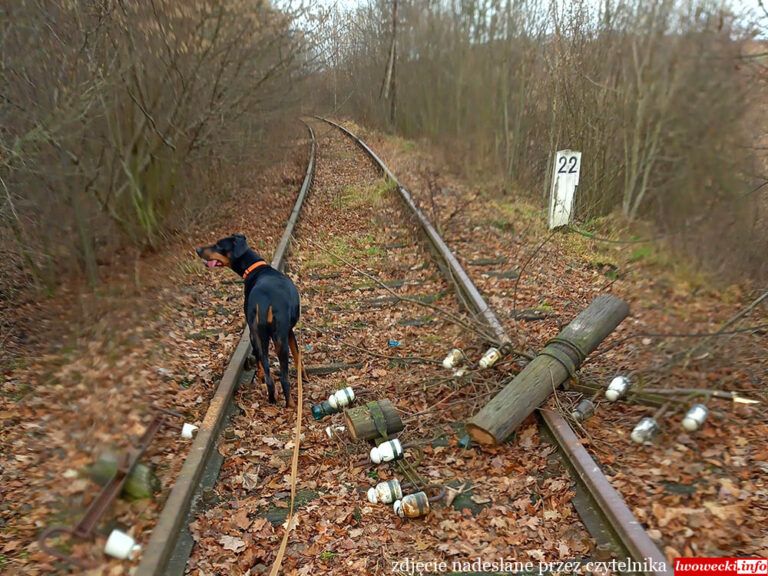 Wleń: Niszczeje linia kolejowa