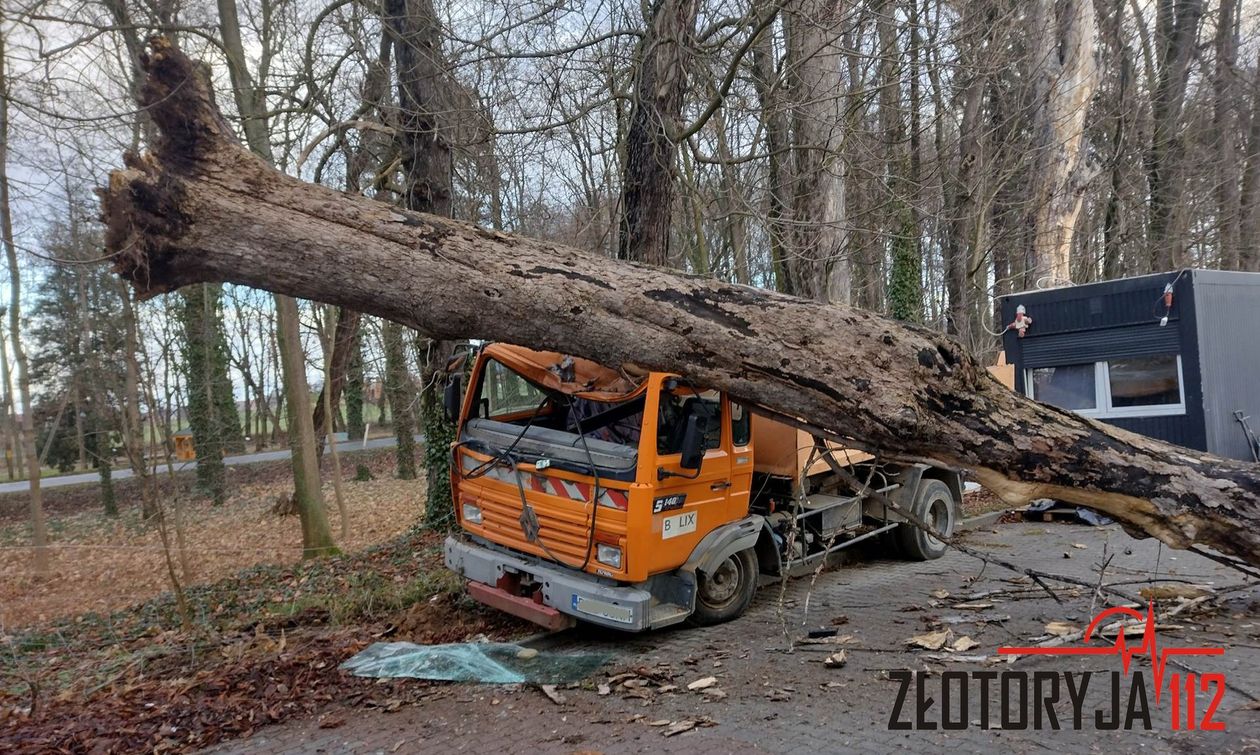 Powiat złotoryjski: Drzewo spadło na ciężarówkę