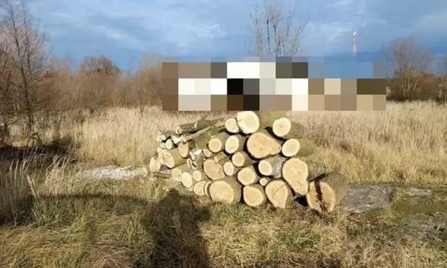 Powiat złotoryjski: Kradł drewno z lasu