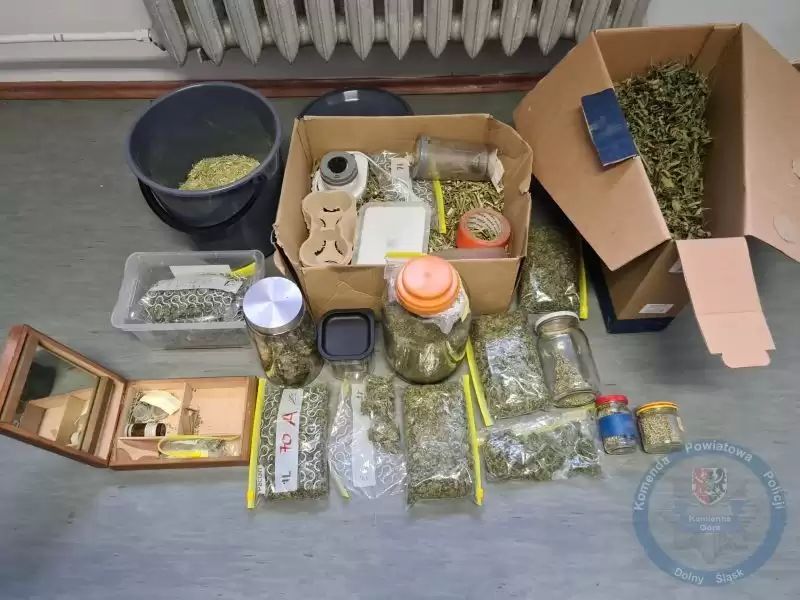 Kamienna Góra: Ponad 3 kg marihuany nie trafi na rynek