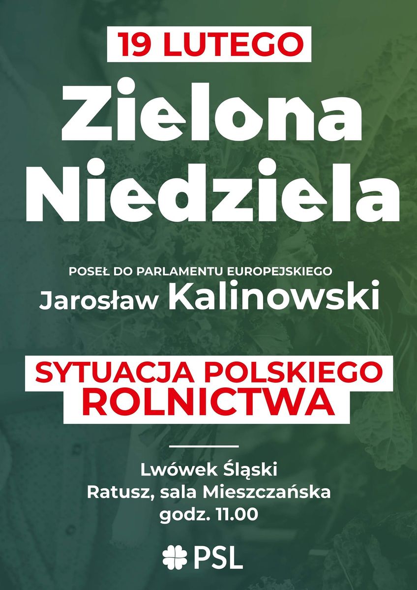 Lwówek Śląski: Spotkanie z posłem