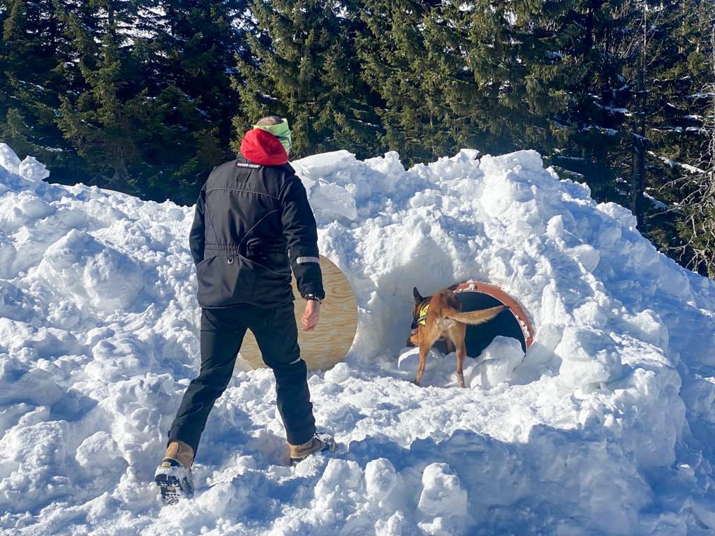 Karkonosze: Szkolenie w górach psów ratowniczych GOPR