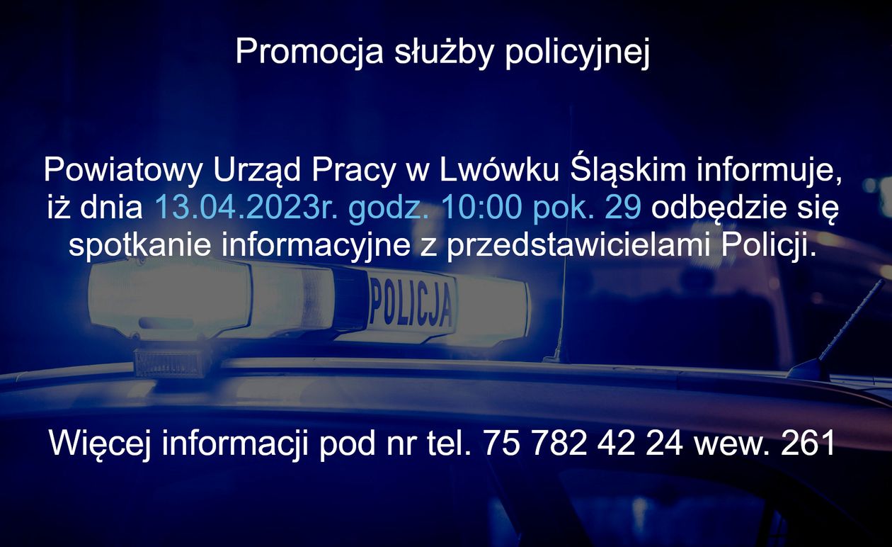 Lwówek Śląski: Spotkanie z policją