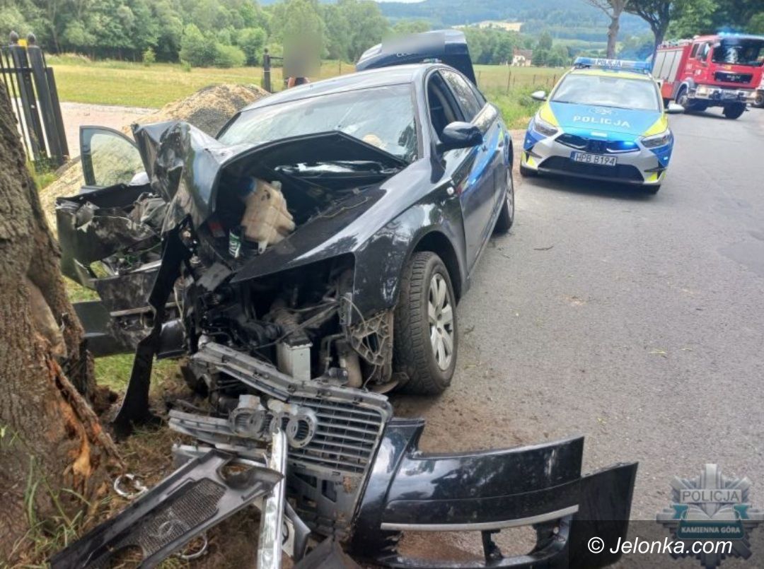 Kamienna Góra: Pijany kierowca spowodował wypadek