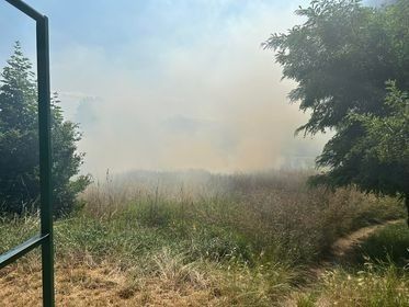 Jelenia Góra: Pożar łąki na Kiepury