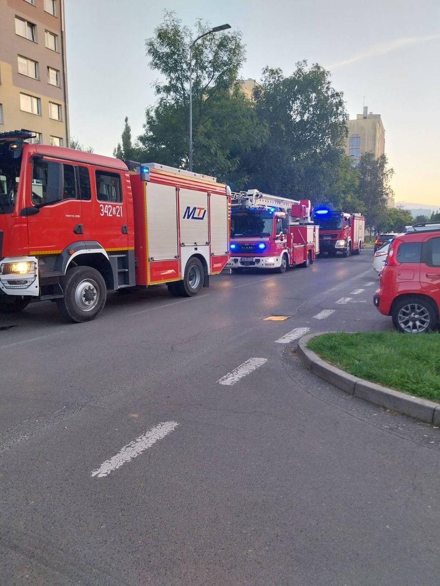 Jelenia Góra: Strażacy interweniowali