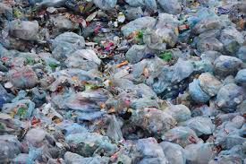 Jelenia Góra: Zebrali aż 6 ton śmieci