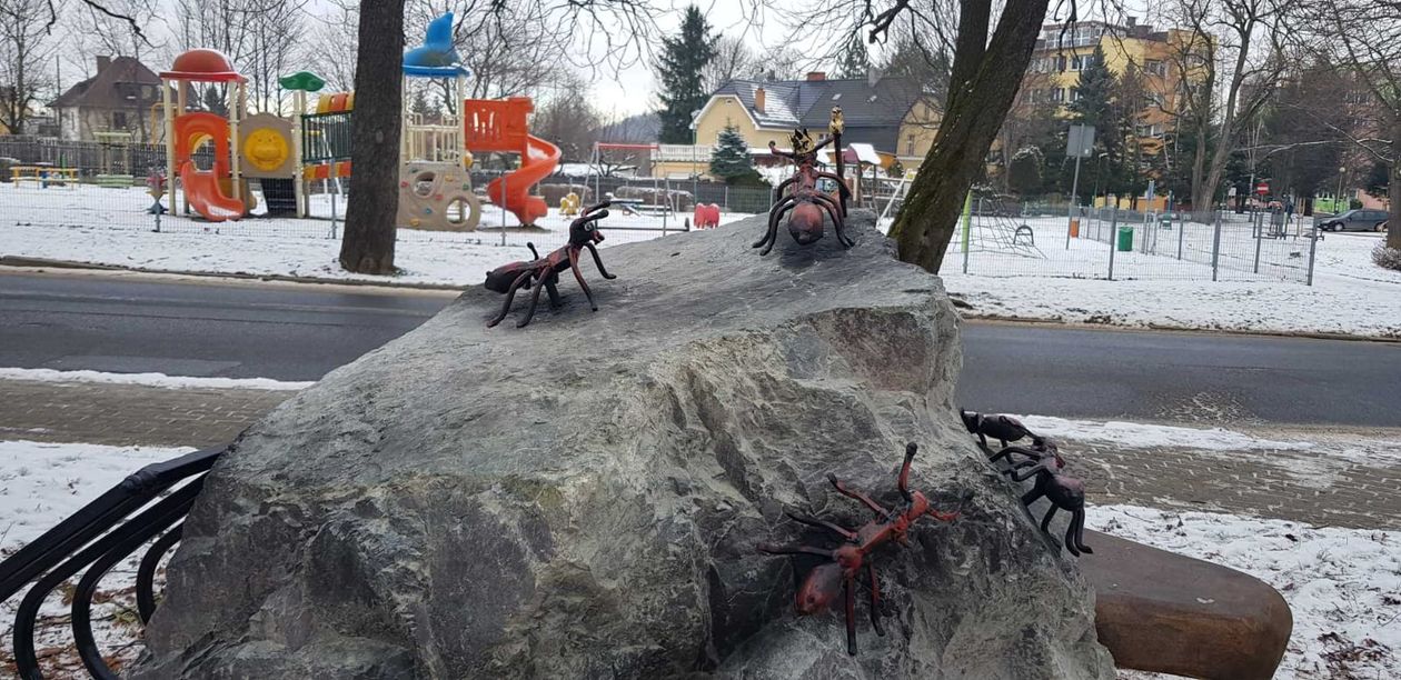 Kowary: Mrówki obsiadły stojak rowerowy