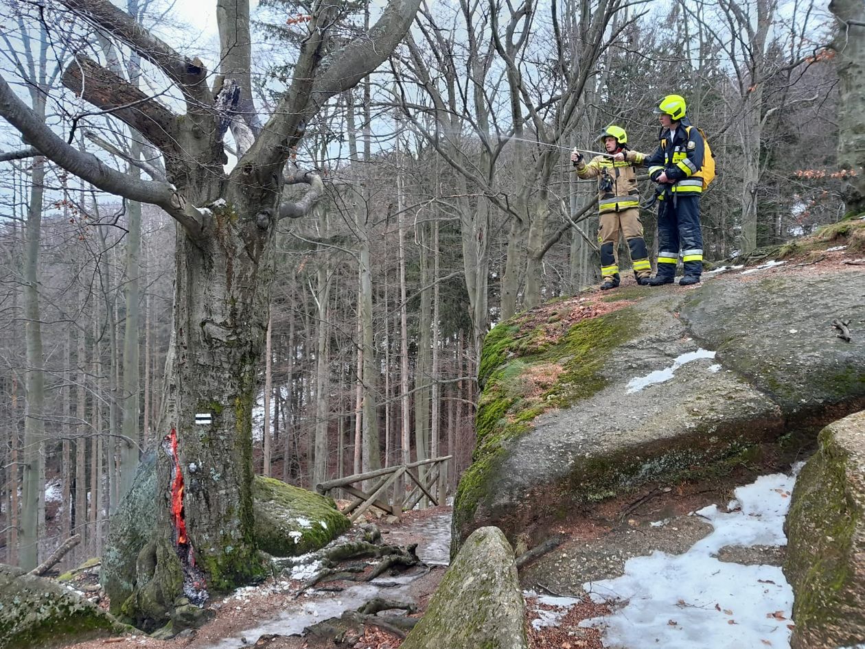 Powiat: Paliło się drzewo przy szlaku na Chojnik