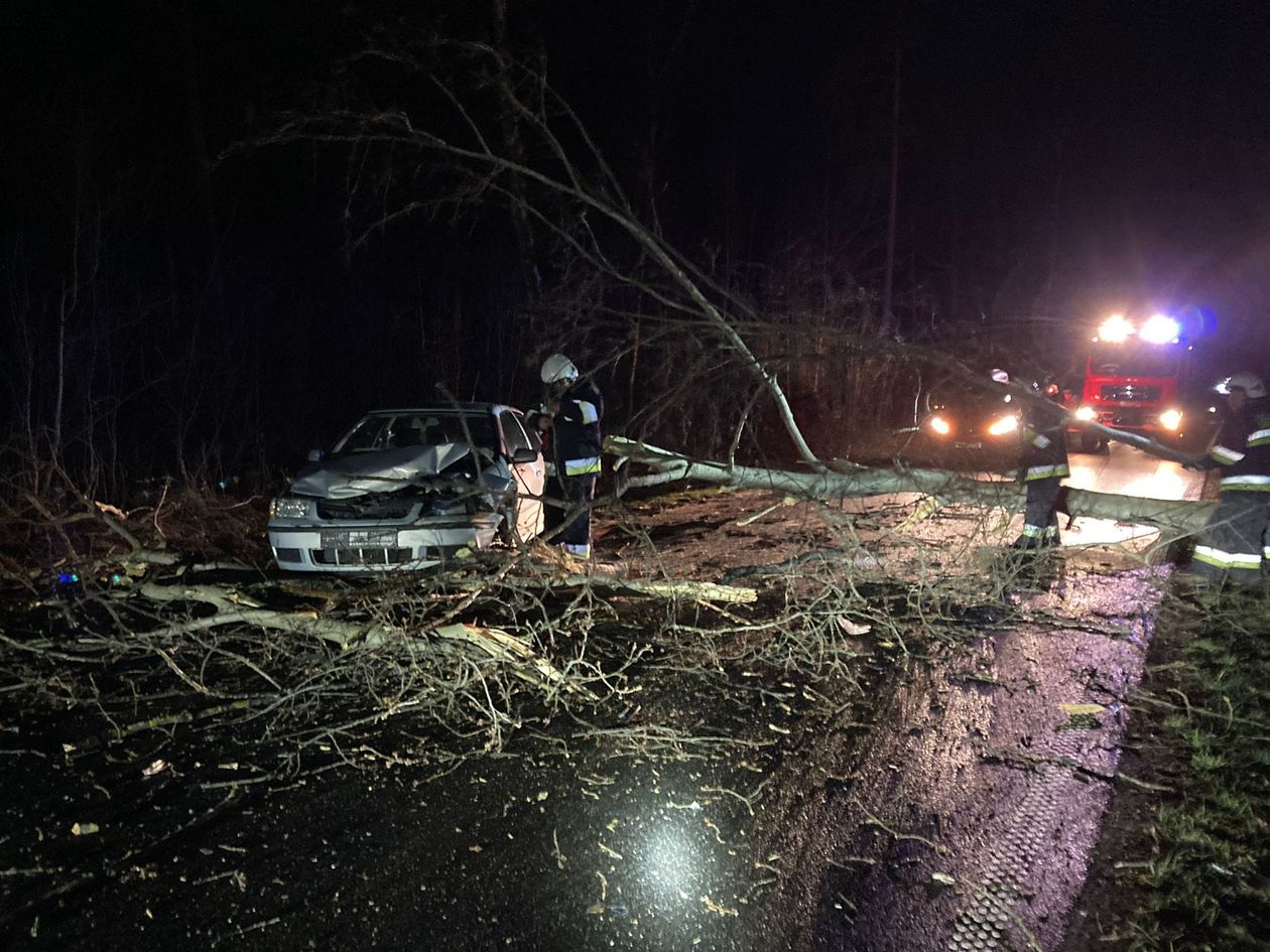 Pieńsk: Drzewo spadło na samochód