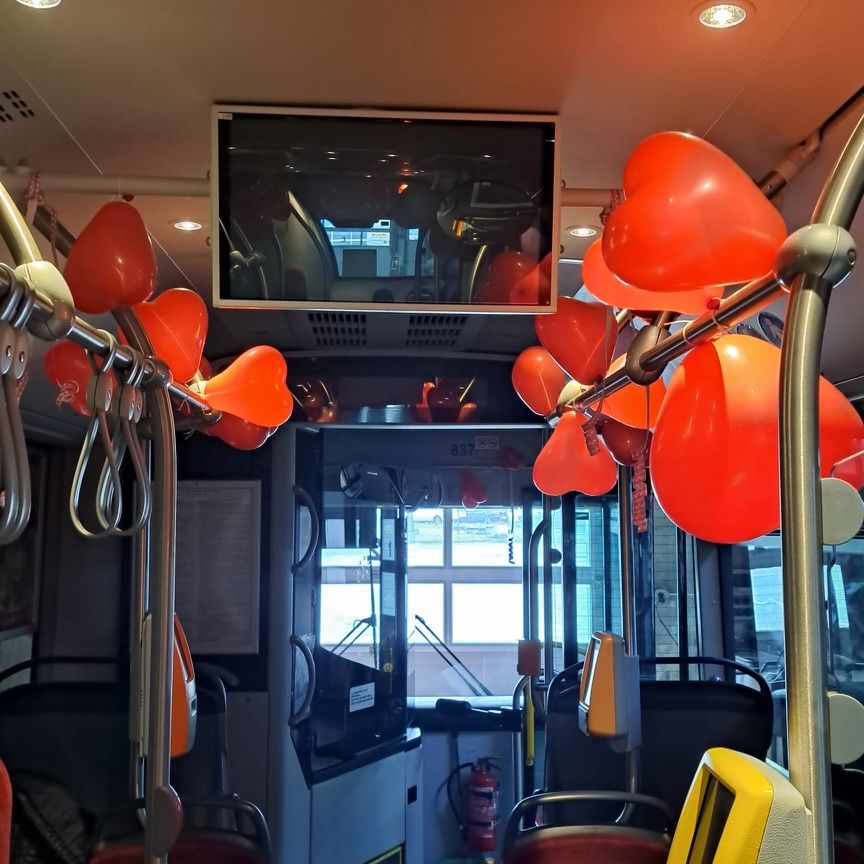 Jelenia Góra: Walentynkowy autobus