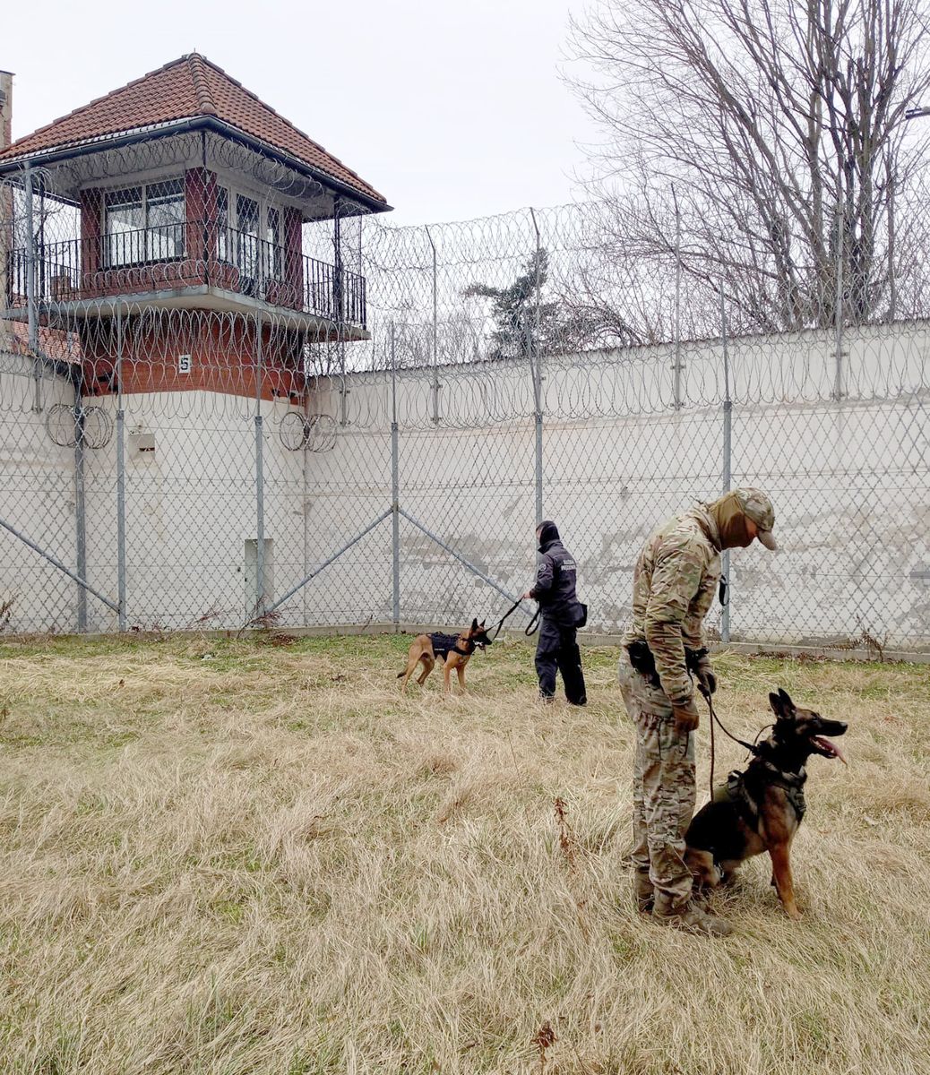 Jelenia Góra: Psie ćwiczenia w Areszcie Śledczym