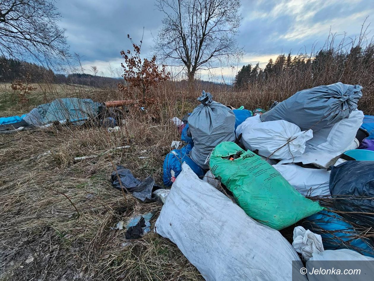 Jelenia Góra: A śmieci dalej leżą