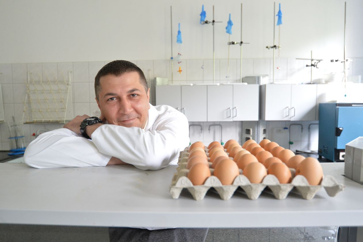 Polska: Jakie jajka lepsze?
