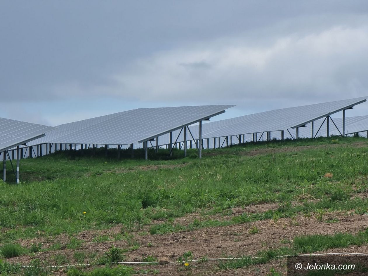 Jelenia Góra: "Zielona energia" z farmy na Spółdzielczej