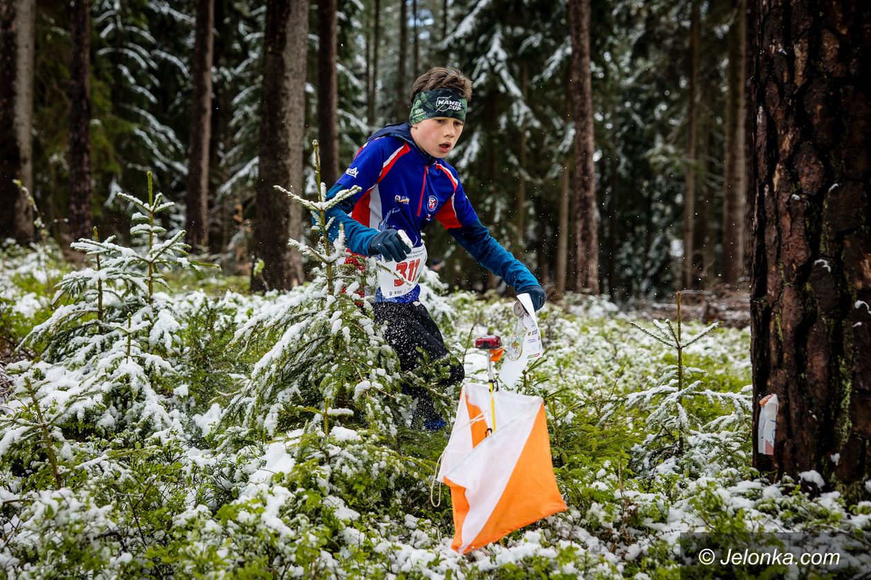 Jelenia Góra/Borowice: Ponad 800 biegaczy na orientację odwiedziło Jelenią Górę