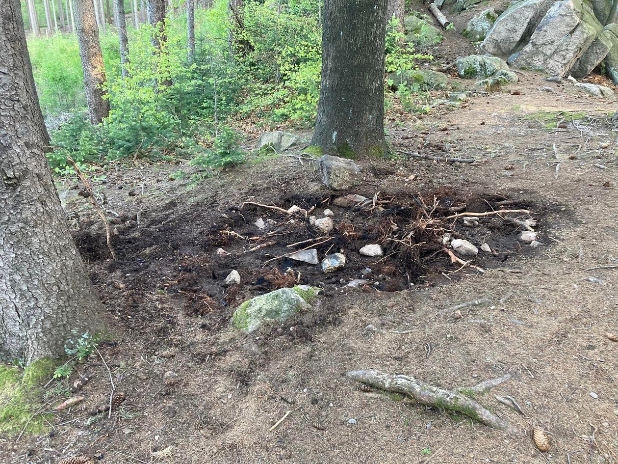 Karkonosze: O krok od pożogi