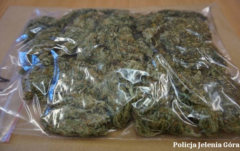 Jelenia Góra: Miał w domu 3 tysiące porcji narkotyków