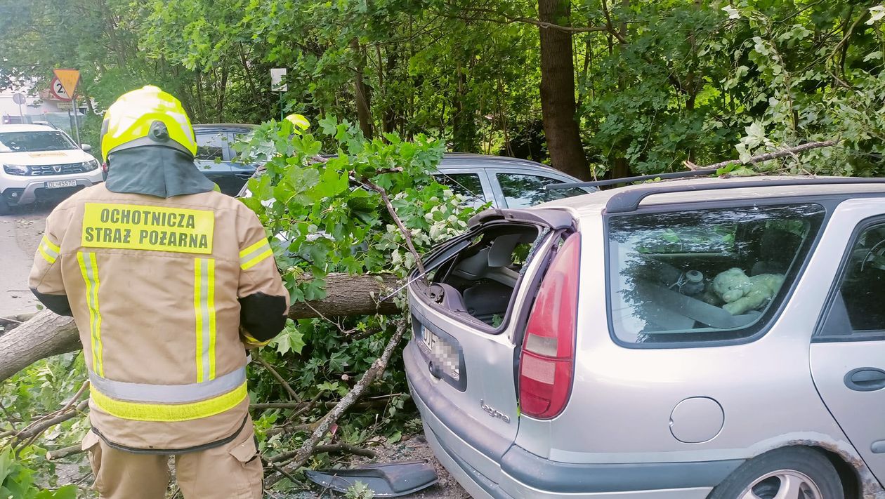 Borowice: Drzewo spadło na samochody
