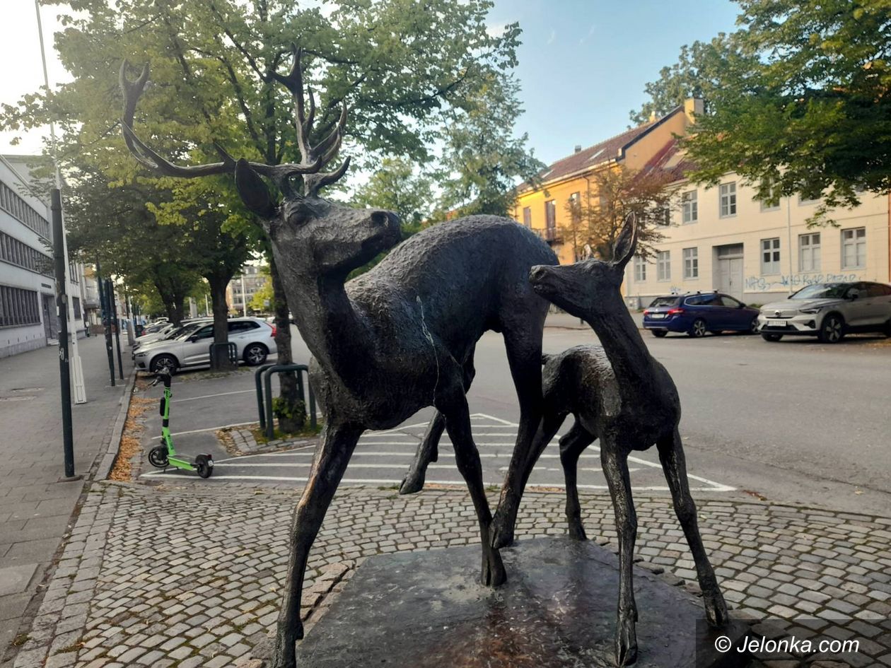 Jelenia Góra: Nasze jelonki nawet w Norwegii