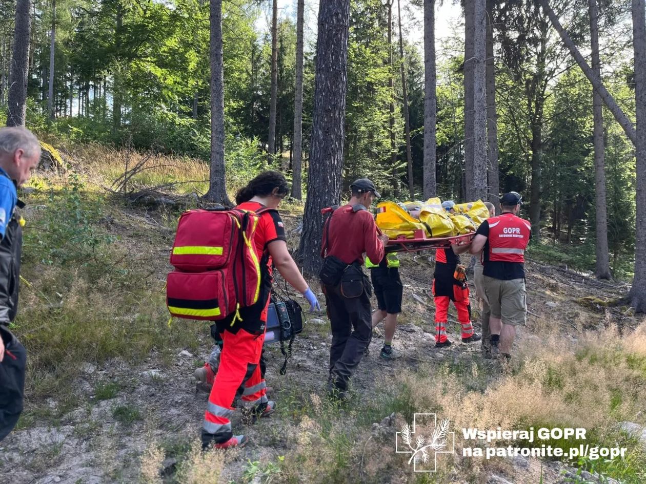 Karkonosze: Tragedia w lesie